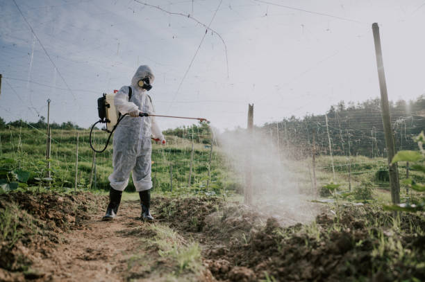 Best Ant Control Services  in Shamokin, PA