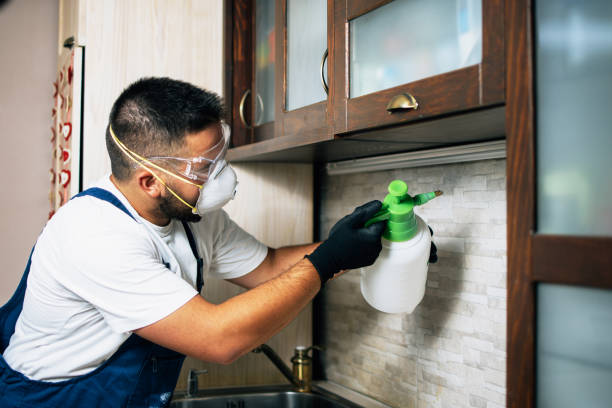 Best Rat Extermination Near Me  in Shamokin, PA