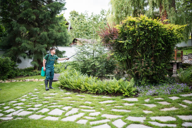Trusted Shamokin, PA Pest Control Experts