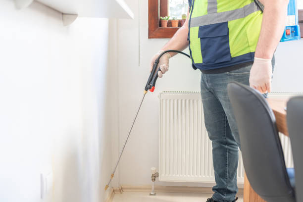 Best Flea Control Services  in Shamokin, PA